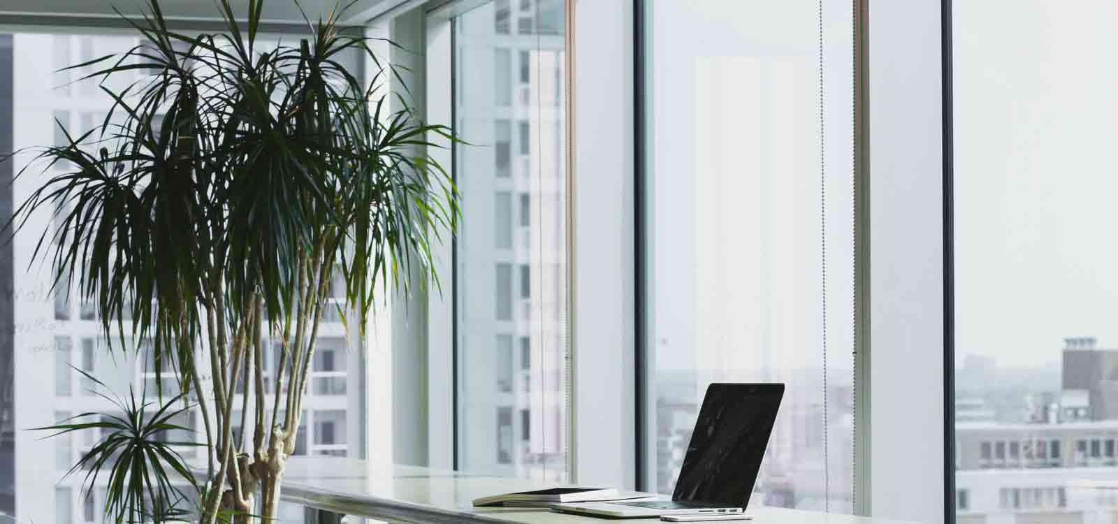 即时到账快速的手机号接收平台